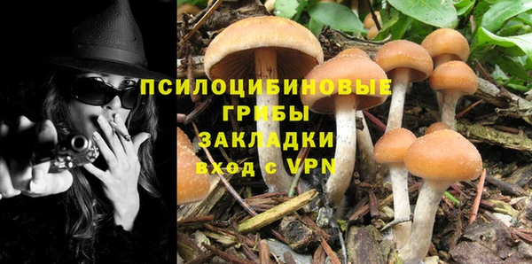 mix Алексин