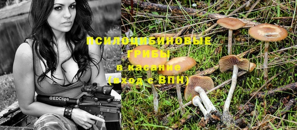 спайс Алзамай