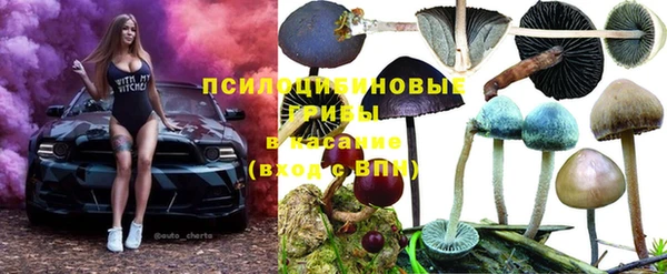 эйфоретик Алексеевка