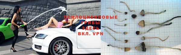 эйфоретик Алексеевка